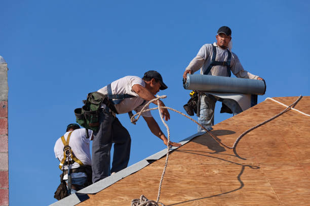 Best Sealant for Roof  in Flint, MI