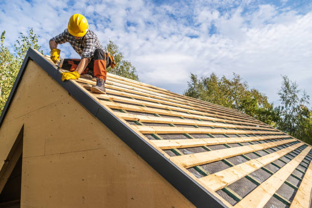 Roof Gutter Cleaning in Flint, MI