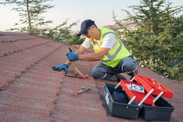 Best Sealant for Roof  in Flint, MI